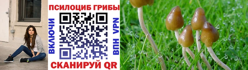 хочу наркоту  blacksprut ONION  Псилоцибиновые грибы Cubensis  Павлово 